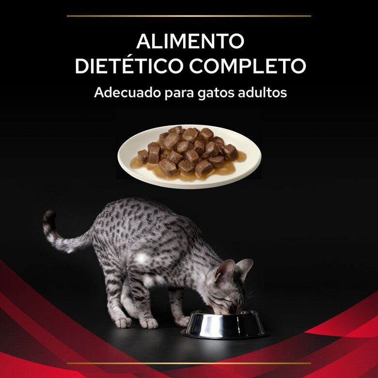 Pro Plan Veterinary Diets Diabetes DM sobres para gatos, , large image number null